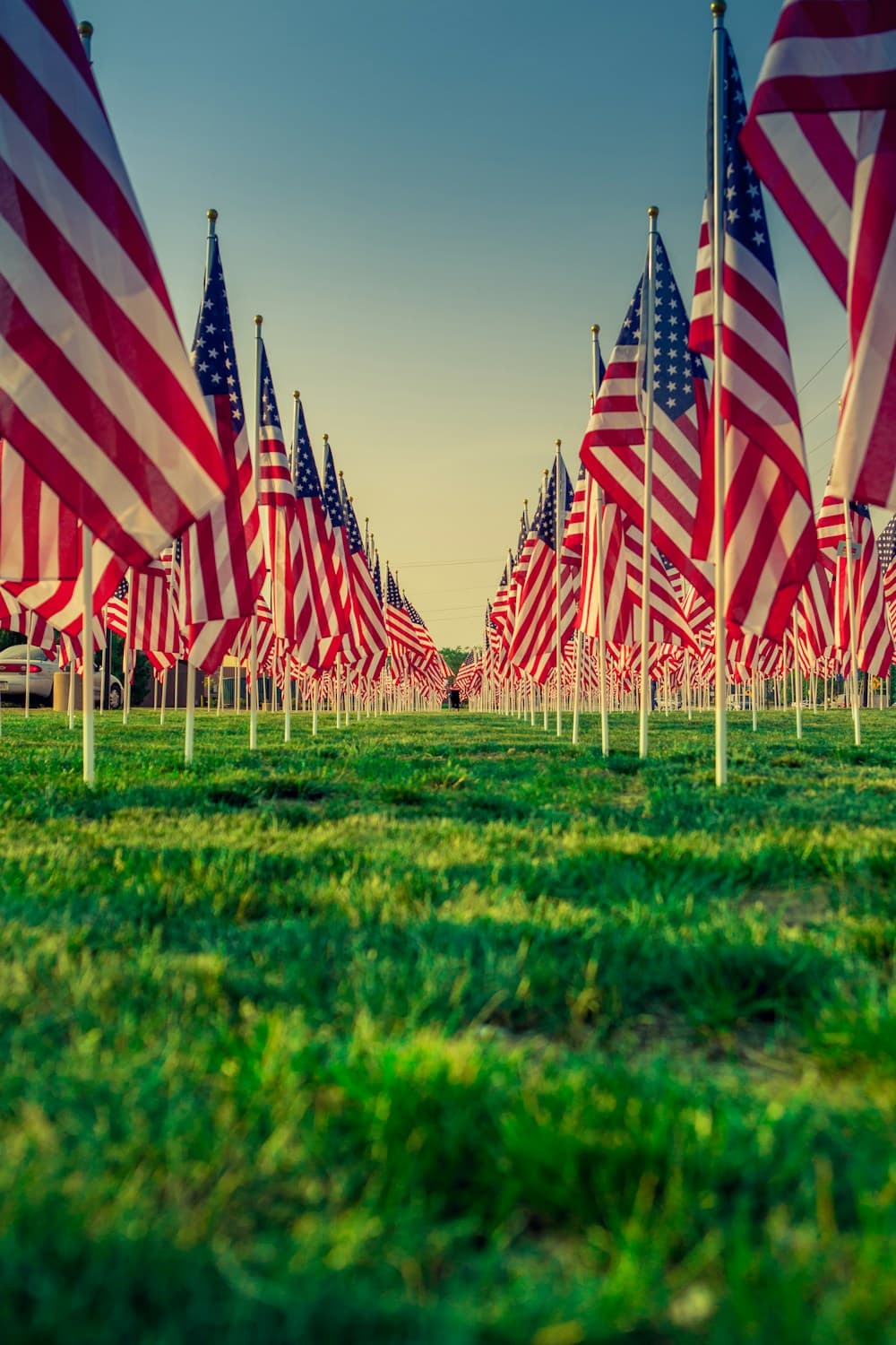 A dignified field of American flags honoring veterans